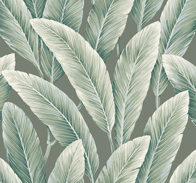 Palm Leaf Botanical Foliage Wallpaper