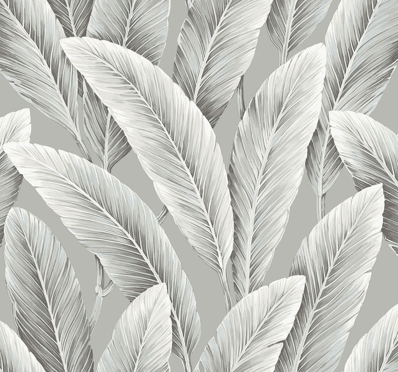 Palm Leaf Botanical Foliage Wallpaper