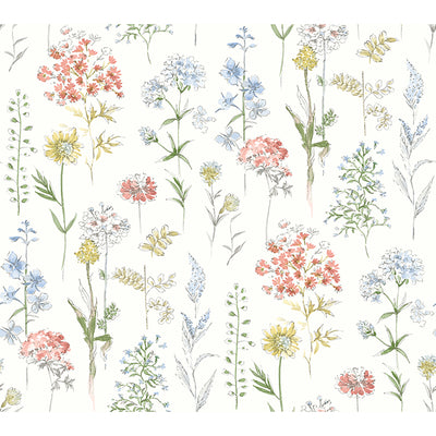 Bergamot Wildflower Wallpaper