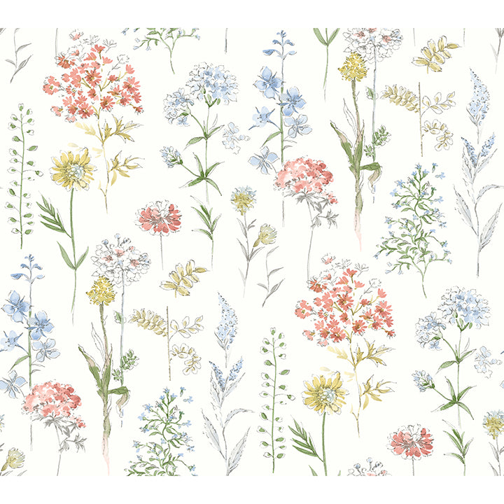 Bergamot Wildflower Wallpaper