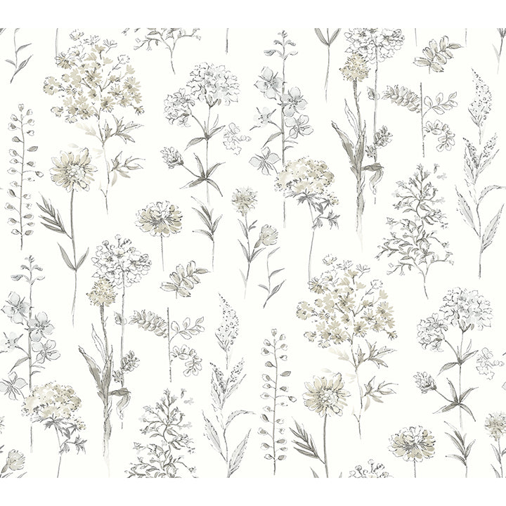 Bergamot Wildflower Wallpaper