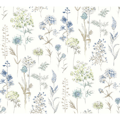 Bergamot Wildflower Wallpaper