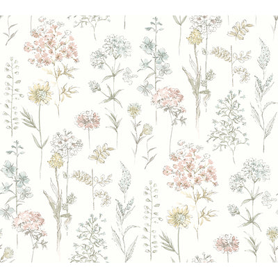 Bergamot Wildflower Wallpaper