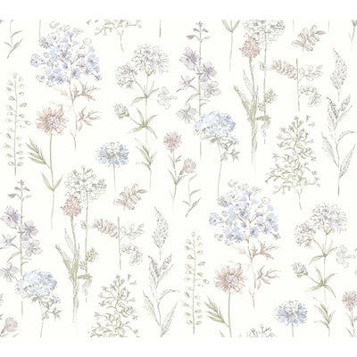 Bergamot Wildflower Wallpaper