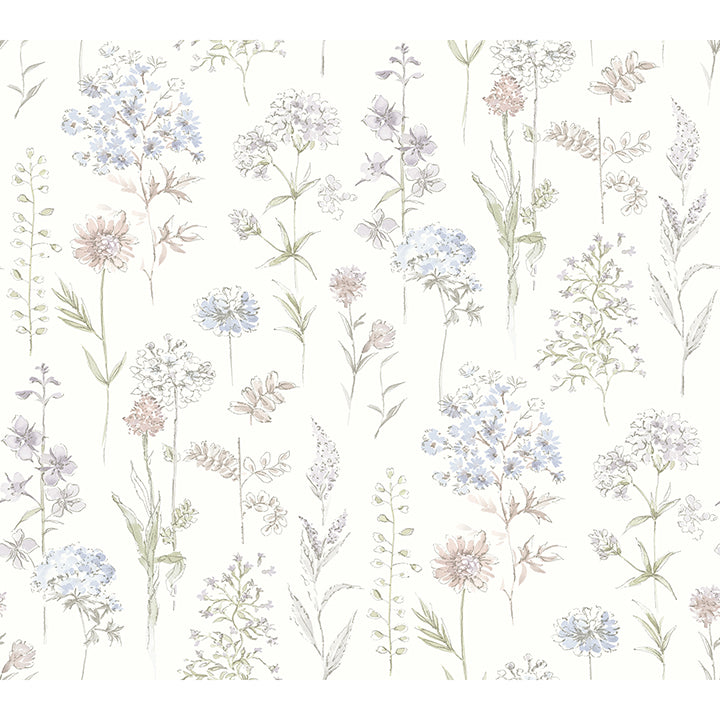 Bergamot Wildflower Wallpaper